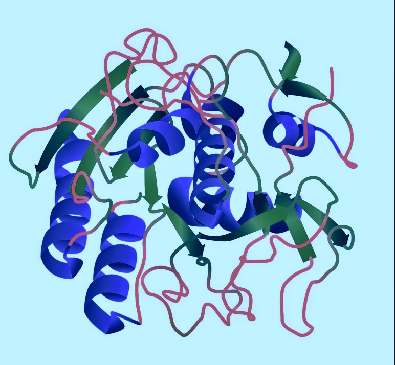 Protein purification and recombinant protein development support